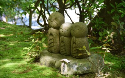 Jardín Zen: armonía, equilibrio y belleza del hogar